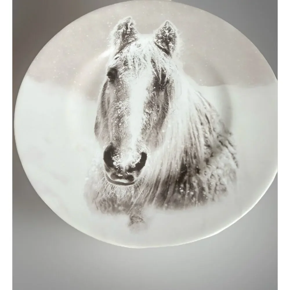 Pier 1 Snow Forest Accent Salad Dessert Plate 8.5/8” Equestrian Set Of 4